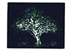 Arbre　2 (Noyer)