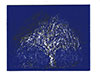 Arbre　6 (Saule et Noyer)