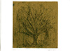 Arbre Noel　1