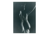 Photographie　2